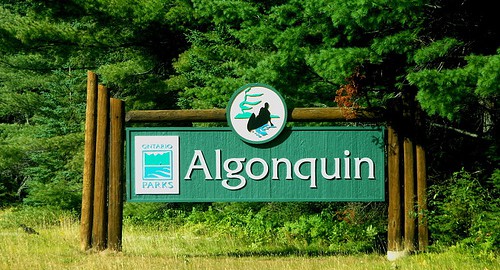 Algonquin Park Sign