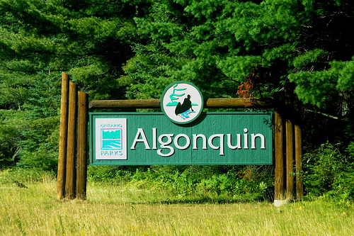 Algonquin Park Sign