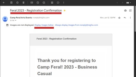 An example screenshot of a registration email with two areas highlighted: The first is the subject line which reads "Feral 2023 - Registration Confirmation", the second is a link in a message bar above the email content that says "Display images below"